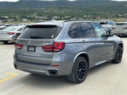 
										BMW X5 full									