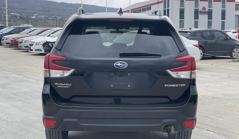 
								Subaru Forester full									
