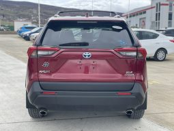 
										Toyota RAV 4 full									
