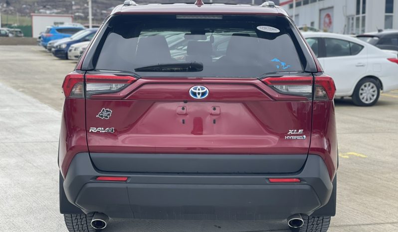 
								Toyota RAV 4 full									