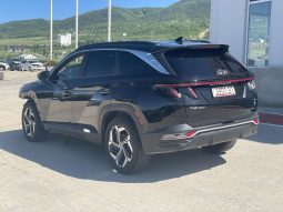
										HYUNDAI TUCSON full									
