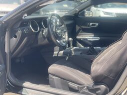 
										FORD MUSTANG full									