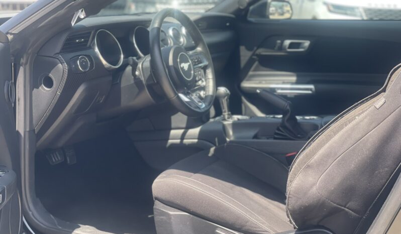
								FORD MUSTANG full									