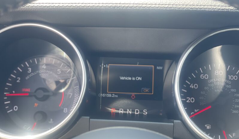 
								FORD MUSTANG full									