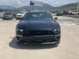 
										FORD MUSTANG full									