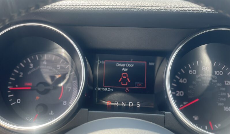 
								FORD MUSTANG full									