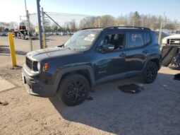 
										JEEP RENEGADE full									