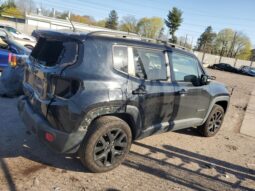 
										JEEP RENEGADE full									