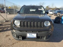 
										JEEP RENEGADE full									