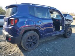 
										jeep renegade full									